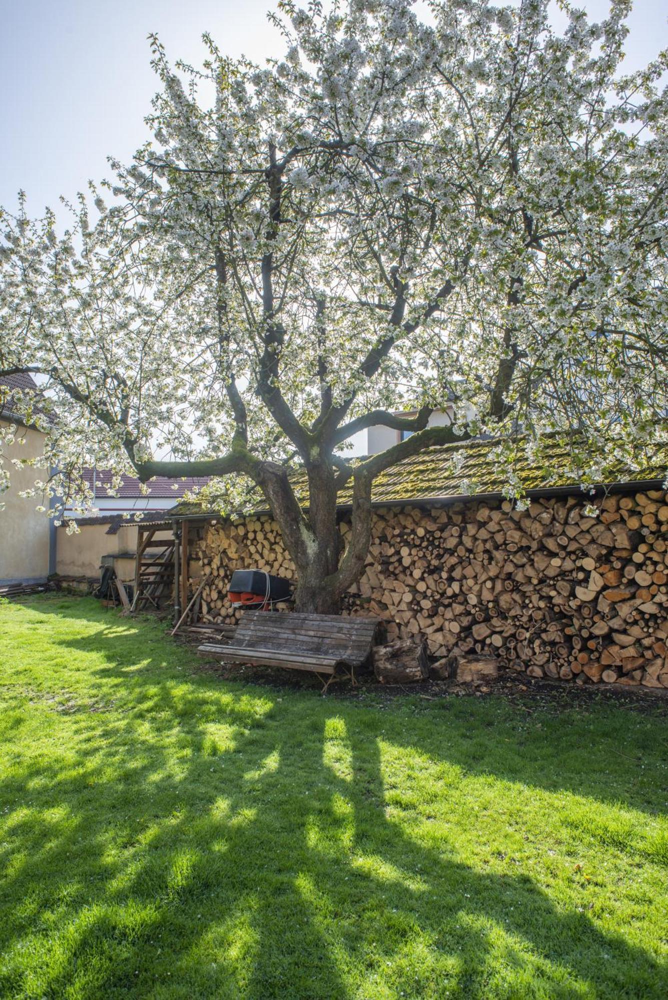 Mlyn-Osvracin Lägenhet Exteriör bild
